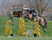 Wriering World Wide TosTour2013- S5 2767 : Arezzo, Arezzo Equestrian Centre, Toscana Tour 2013, Wiering Harrie, World wide, foto di Stefano Secchi ©
